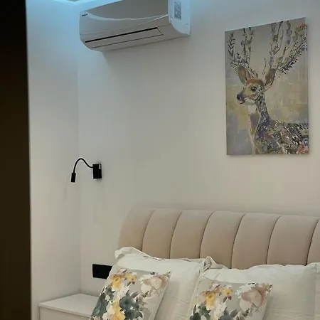 House Pollo Πανσιόν 3*